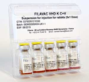 We vaccineren met Filavac KC+V de konijnen tegen RHD1 en RHD2. Dierenkliniek Wilhelminapark Utrecht